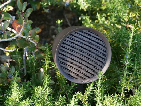 Complete the living experience with dynamic outdoor sound